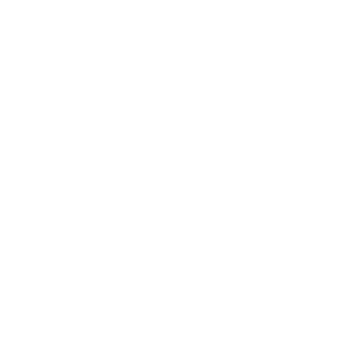 White Twitter bird logo